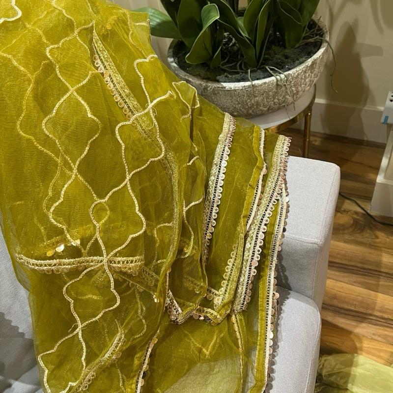 Zahra rubab dhani/lime colour heavy wedding wear