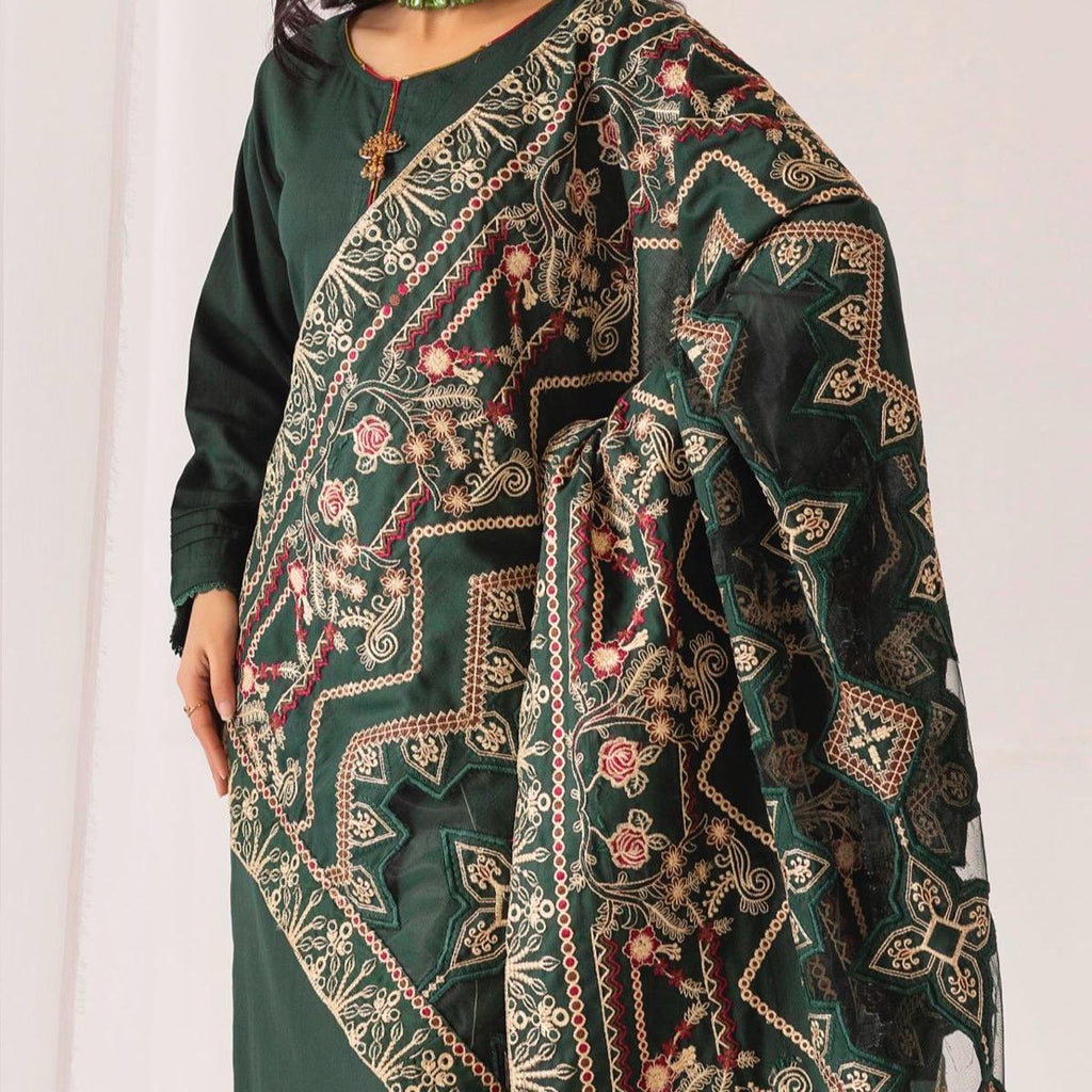 Simrans winter dhanak suit with laser kari shawl green
