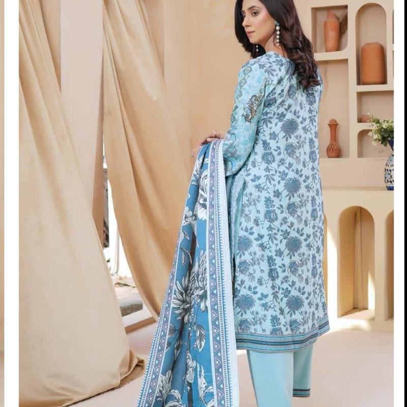 Blue printed with embroidery 3PC